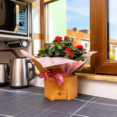 Two Bedroom Karavelov With Private Parking Medical Apartment Plovdiv