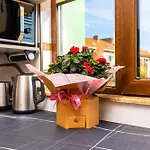 Two Bedroom Karavelov With Private Parking Medical Apartment Plowdiw